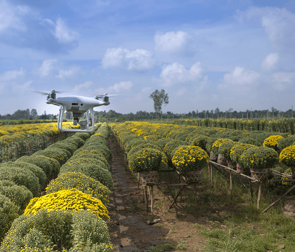Drone over crops